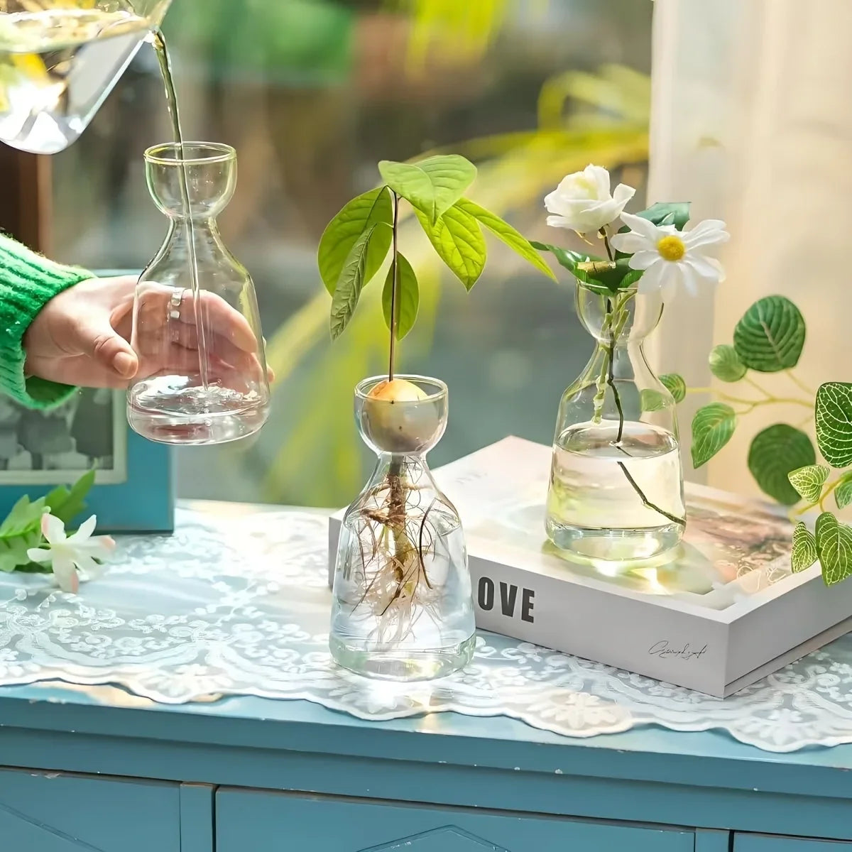 Plant Growing Kits